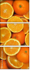 49032895
