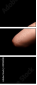 49138108