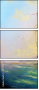 49140904