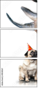 49240267