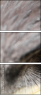 49245808