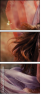 49298048