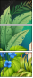 49463206