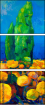 49522829