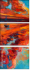 49522836