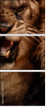 49550663