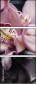 49633932