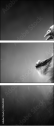 49654340