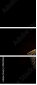 49659267