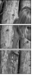 4970486