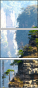 49828442