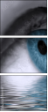 49921743
