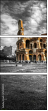 50130515