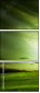50284867