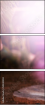 50330504