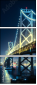 50509350