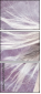 50794180