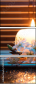 50934171