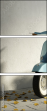 50981081