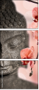 51143808