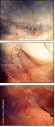 51156052