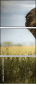 51170548