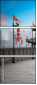 51217685