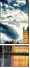 51315331