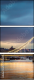 51369155