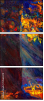 51564370