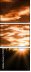 51576811