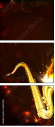 51624515
