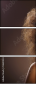 51651433
