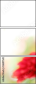 51697541