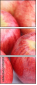51930059