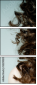 52290207