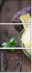 52349842