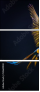 52669940
