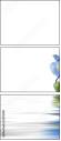 52702119