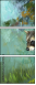 52717561