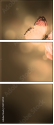 52744741