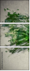 53061408