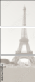 53137568