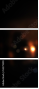 53279590