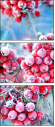 53434522