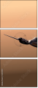 53511493