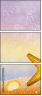 53719095