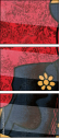 53800770