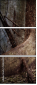 53836351
