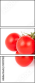 53937220